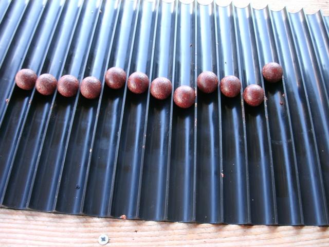 pregatiri - gedc0293.JPG